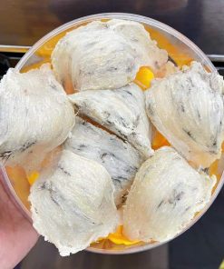 Tổ Yến Thô  Vip Ý NGHĨA FARM