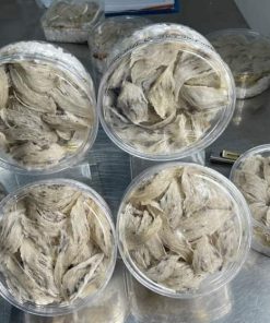 Tổ Yến Thô Loại 11 - 13 Tổ /100Gram