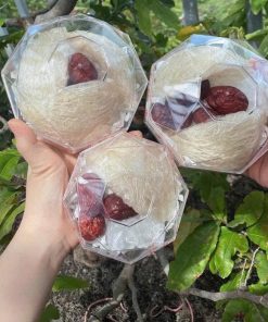 YẾN TINH CHẾ ( HỘP 30Gram )